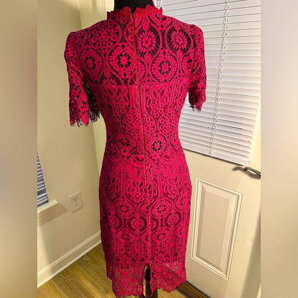 Lulus lace dress - Picture 4 of 5